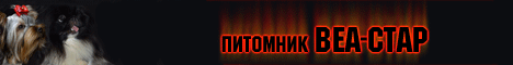 питомник ВЕА-СТАР, пекинесы, йоркширский терьер, папийон, чихуахуа